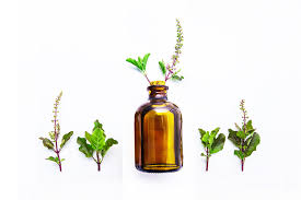 Homoopathie Michaelis Apotheke