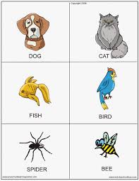 Check spelling or type a new query. Animal Flashcards For Kids Preschool Learning Online Lesson Plans Worksheets