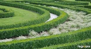 6,704 likes · 2 talking about this · 3,531 were here. Natur Und Garten In Hannover