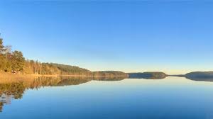 After 20+ years at Sobi it is time for me to leave and continue my…