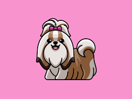 Long Haired Shih Tzu Shih Tzu Dog Branding Shih Tzu Puppy Training