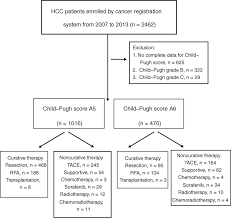 The Study Flow Chart Hcc U200a U200ahepatocellular