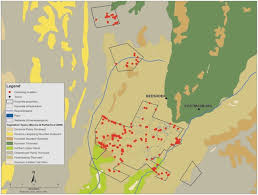 Image result for Plinthus karooicus