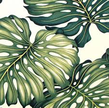 Upholstery Fabric Tropical Hawaiian Fabric Monstera Green Etsy Upholstery Fabric Tropical Fabric Tropical Leaves