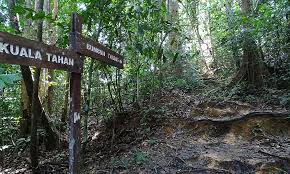 Taman negara pahang, kuala tahan. Kenong Rimba Als Alternative Zu Taman Negara