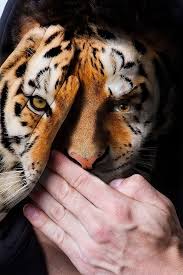 Faces Of The Wild I Fight Animal Captivity With My Portraits Body Art Painting Animal Art Animals