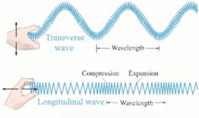 6 Illustration of a transverse wave and a longitudinal wave ...