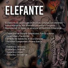 Pin De Magda Zamora En Tatuajes Tatuajes De Elefantes Tatuaje Familia De Elefantes Significados De Tatuajes De Animales
