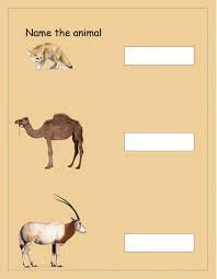 Desert Animals Interactive Worksheet