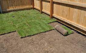 This means it needs sprinkling anywhere from two to six times a day. How To Install Sod Grass And How Much To Water Sod Grass Pad