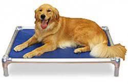 Joseph county took in over 1,000 owner surrendered pets. Kuranda Beds Will County Humane Society