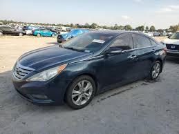 Image result for Royal Blue 2011 Sonata