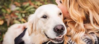 Gute tä mit gutem gerät können schon ab ca. Gebarmutterentzundung Bei Der Hundin Was Kann Helfen