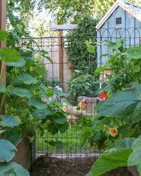 You may love the look but they simply are not practical, affordable or the style of your garden. 19 Practical And Pretty Garden Fence Ideas Best Materials To Fence A Garden