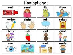 Homophones Words Charts