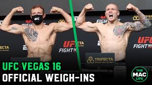 Marvin vettori (born september 20, 1993) is an italian mixed martial artist. Ufc Vegas 16 Jack Hermansson Vs Marvin Vettori Official Weigh Ins Youtube