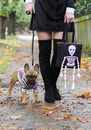 Just look at this little frenchie in a dress! Spooky Halloween Hostess Gifts The Easiest Costume Ever Me And Mr Jones