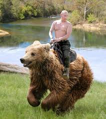 Then this is the right game! Vladimir Putin Is So Tough Miscellaneous Toytown Germany