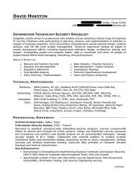 200+ resume templates and expert advice from 100k resumes. It Resume Sample Professional Resume Examples Topresume