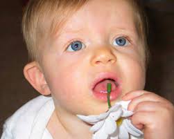 paper142 for PDF conversion.pub