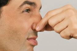 Goose rescued after wearing red thong