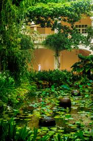 Beautiful Garden Pond Landscaping Idea Visit Our Vietnamese Colonial Style Resort Anantara Hoi An Reso Backyard Resort Tropical Backyard Backyard Landscaping