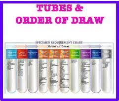 Order Of Draw In Phlebotomy Phlebotomy Phlebotomy Order