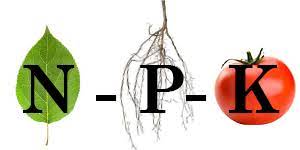 Check spelling or type a new query. What S The Npk Ratio What S In Your Soil Frey Group Llc