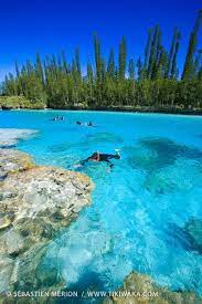 piscine naturelle baie d oro ile des pins beautiful beaches beaches in the world places to visit