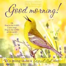 Look At The Birds Of The Air Niv Good Morning Daily Blessings From Alittleperspective Com Psalm 77 Psalms Scripture Pictures
