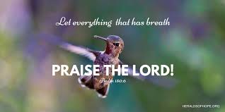 Let Everything That Has Breath Praise The Lord Bible Verse Psalm 150 6 Let Everything That Has Breath Praise The Lord Praise Joy Scripture Praise The Lords Psalm 150 Psalms