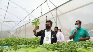 Temukan karir pekerjaan pabrik di kota belawan dan lowongan kerja yang serupa disini. Bps Maret 2021 Ekspor Pertanian Indonesia Meningkat Dua Digit Hotnews