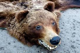 Unfortunately u can't see much of the face of the rug but this was the best shot of him out of the bunch. Hunter Takes Fake Fur Too Far Georgia Straight Vancouver S News Entertainment Weekly