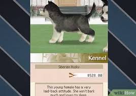 Discover why following some widely held beliefs ca. How To Unlock All The Dogs On Nintendogs 3 Steps With Pictures