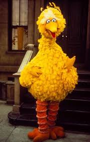 Keeping Up With The Race For Office Big Bird Sesame Street Muppets Big Bird
