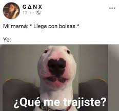 Pin De Mia En Xd En 2020 Memes Divertidos Memes Comicos Meme Divertido