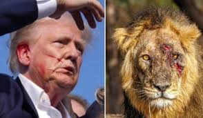 Trent Grider (@gcgdad)