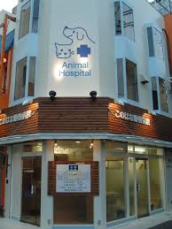 アニコムどうぶつ病院検索