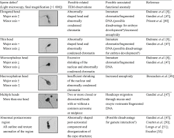 Morphological Abnormalities A And Sperm Pathology. | Download Table