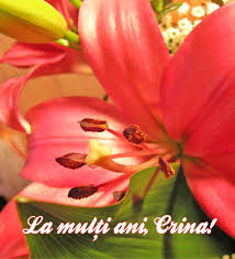 La mulți ani frumoși și fericiți alături de cei dragi! Mesaje De Florii Cu Imagini La Multi Ani Crina Unica Ro