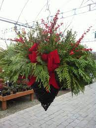 Fresh Festive Evergreen Hanging Basket Perfect For Where The Summer Baskets Were Hanging Christmas Hanging Baskets Christmas Baskets Christmas Arrangements