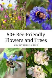 Honey bees (and all other bees too, for that matter) are struggling. 50 Flowers And Trees To Grow In A Bee Friendly Garden Lovely Greens
