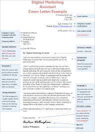 Digital Marketing Assistant Cover Letter Example Cv Plaza