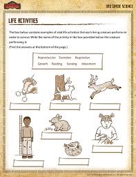 A healthy diet is a balancing act. Life Activities View Printable Science Worksheet For 3rd Grade
