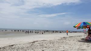 Maybe you would like to learn more about one of these? Hilton Head Sc Shark In The Water Clears Coligny Beach Hilton Head Island Packet