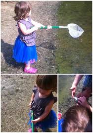 20 Things To Do In Richmond With Kids Things To Do Richmond Stuff To Do