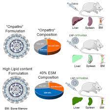 Lipid nanoparticle mRNA systems containing high levels of sphingomyelin  engender higher protein expression in hepatic and extra