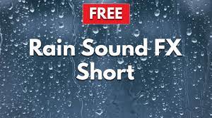 We also make animal desensitizing albums that enable you to help your. Rain Sound Effect Short 2 Minutes Youtube