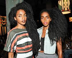 Rarely do we settle on one style or one regimen for an extended amount of time. Meet Quann Sisters Natural Hairstyles For Black Women