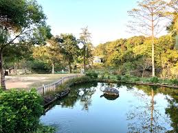 Hong Kong Fun in 18 Districts - Lions Nature Education Centre